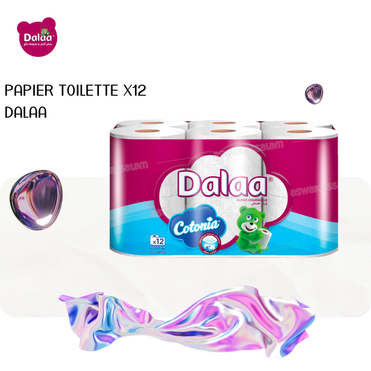 12 ROULEAUX PAPIER HYGIENIQUE 2 PLIS DALAA