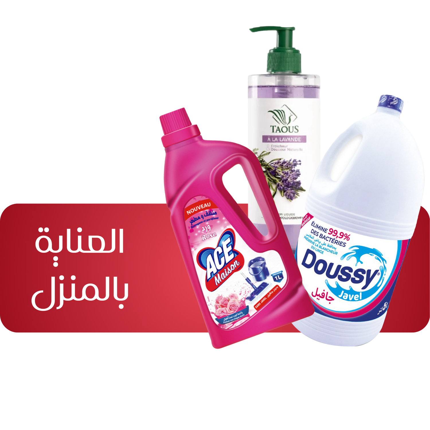 Entretien de la maison